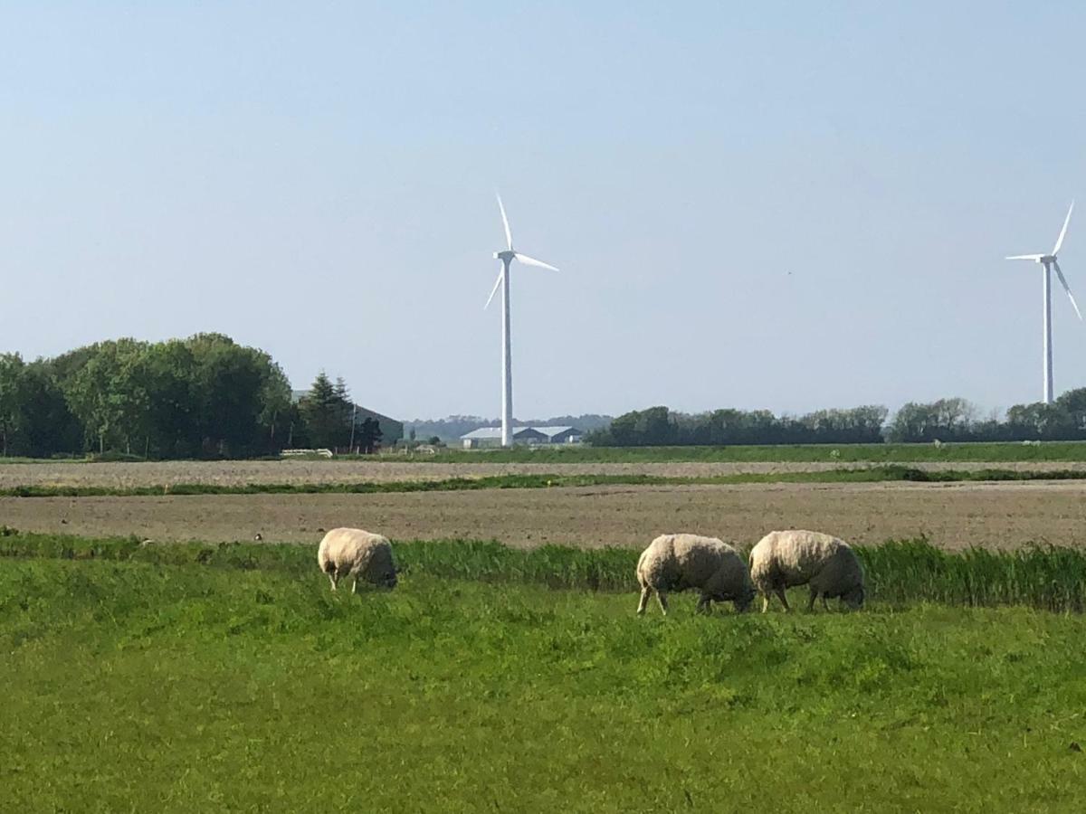 Vogelvrij Burgerbrug Exterior foto